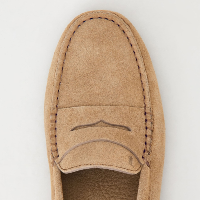 Gommino Driving Shoes in Suede